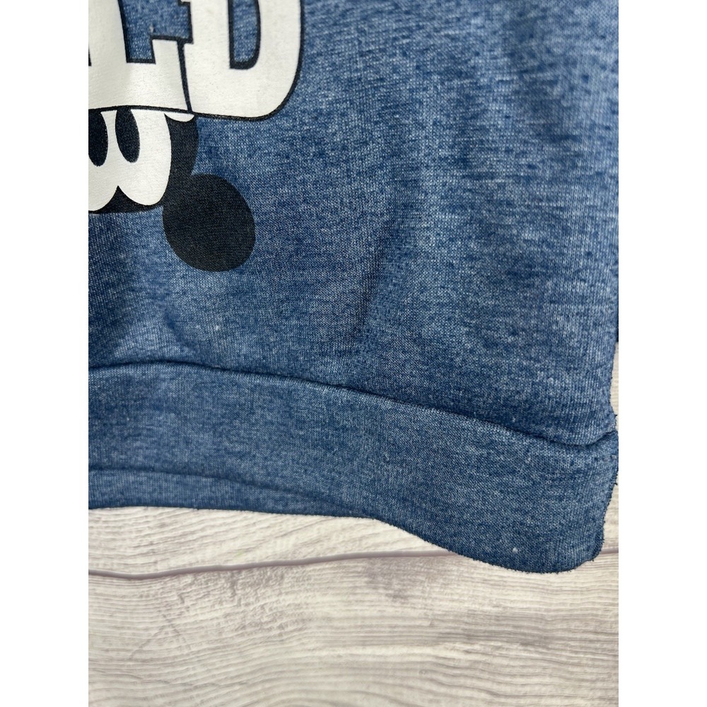 Disney Jr. Mickey Mouse & Pluto "A Little Bit Wild" Pullover Hoodie Blue 3T - Picture 3 of 5